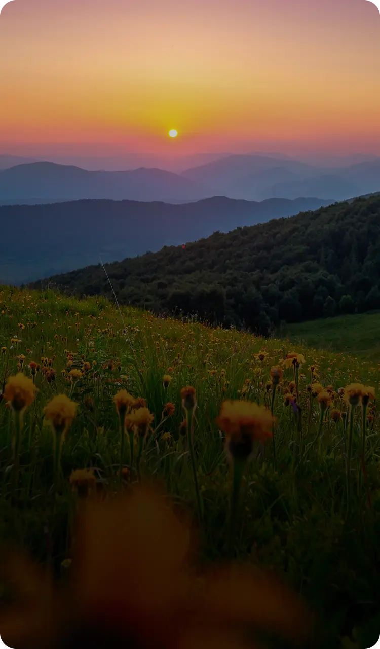 примхливі Карпати